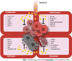 Vitamin E in the management of pancreatic cancer: A scoping review