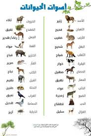 معجم الأصوات أكبر تجميعة سهلة لأصوات الحيوانات والطير Arabic Language Language History Learning Arabic