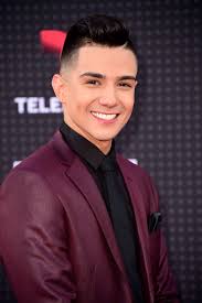 Luis Coronel's Net Worth