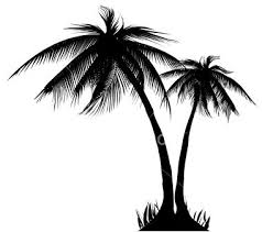 Beach Black And White Palm Tree Clip Art Very Detailed Palm Trees Silhouette Hires Jpeg Included Palm Tree Clip Art Palm Tree Vector Art