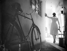 The Cranes Are Flying (1957)