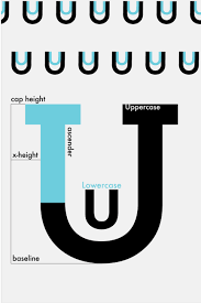 Letter Anatomy U On Behance