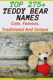 Best 275 Teddy Bear Names Find Fun Ways To Choose A Name In 2020 Teddy Bear Names Cute Teddy Bear Names Bear Names