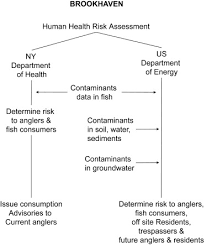 Regulatory Requirements And Tools For Environmental