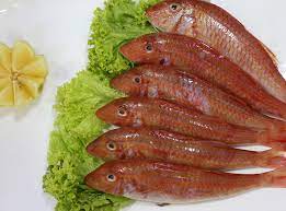 Arabic fried fish i used sultan ibrahim/threadfinned bream/kilimeen/red snapper for this recipe. The Royal Fish Sultan Ibrahim Khaja Nawas