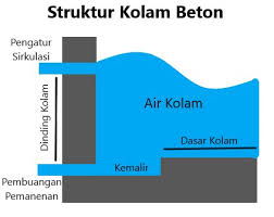 Untuk kali ini saya akan mencontohkan perhitungan besi pada kolam renang ukuran 3×7 m dengan kedalaman 1,5 m. Tips Sukses Budidaya Ikan Nila Di Kolam Beton Beternakdirumah