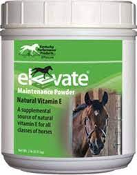 We recommend, however, talking to your vet beforehand, as pregnant and as mentioned above, the symptoms of vitamin e and selenium in horses are similar because of their shared functions as an antioxidant. Amazon Com Kentucky Performance Prod 044097 Elevate Maintenance Powder Supplement For Horses 2 Lb Pet Supplies