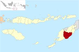 Dibangun di atas sebidang tanah putih tandus pemberian seorang lelaki berumur 72 tahun. Kabupaten Timor Tengah Selatan Wikipedia Bahasa Indonesia Ensiklopedia Bebas