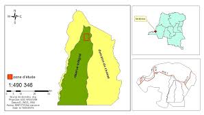 Image result for Dialium englerianum