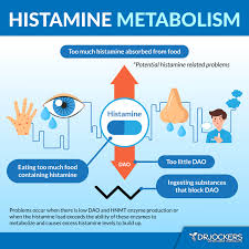 Image result for Histamine