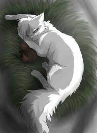 Wishflower And Darkkit Warrior Cats Fan Art Warrior Cats Art Warrior Cat Drawings