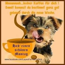 Guten abend grüße guten morgen gruss morgen abend gute nacht. Montag Bilder Fur Facebook Gb Bilder Gb Pics Gastebuchbilder Schone Guten Morgen Spruche Montag Grusse Katzen Geburtstag