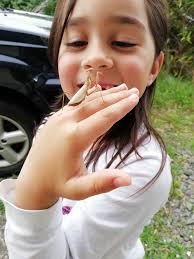 I'd like to think she's praying for all of us! I was asked to share more  photos of my little friend that came to visit me. I took a million photos of