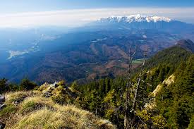 Maybe you would like to learn more about one of these? Naturreise In Rumanien Atu Travelatu Travel