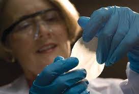 Benno Bauer's Instagram, Twitter & Facebook