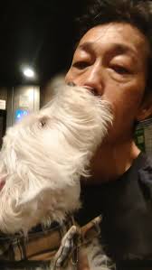 『シンドーくん、楽しかったじょ！』, 早朝から走り回りワチャピョンしまくり、ご満悦の表情でベロチュウしてくれるおちびクロス😂,  それにしても、5ヶ月20日でこのでかさ😅, 目元がクロスで鼻と口がブレットだ😉