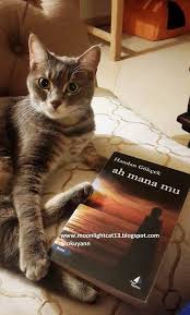 Moonlightcat13 Ah Mana Mu Handan Gokcek Kitap Okuma