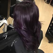 50 Glamorous Dark Purple Hair Color Ideas Destined To Mesmerize Dark Purple Hair Brunette Hair Color Hair Color Purple