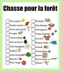 Chasse Au Tresor De Balade A Imprimer Chasse Au Tresor Chasses Au Tresor Nature Chasse