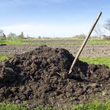 How Long Do You Have To Age Chicken Manure To Use On Gardens Hunker In 2020 Organic Gardening Soil Organic Gardening Chicken Manure