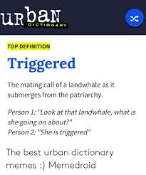 25 Best Memes About Best Urban Dictionary Best Urban Dictionary Memes