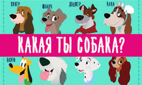 кто я из эвер афтер хай по знаку зодиака Test Kto Ty Iz Ever After Haj Po Znaku Zodiaka Youloveit Ru
