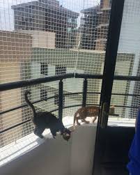 Yukseklik 2 80 Kedi Filesi Kedi Koruma Filesi Uzunluk Kedi Guvenlik Agi Balkon Kapama Agi Fiyati Ve Ozellikleri Gittigidiyor