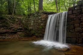 Keep veggies around longer, or give their flavor some punch. How To Get To Henry Run Sawmill Dam Falls In Cook Forest State Park Uncovering Pa
