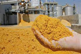 Innovation in Distillers Grains Production