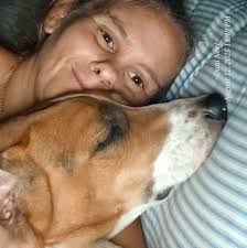 Where to find free firework shows in the area tonight?