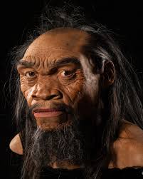 Denisovan and neanderthal hybrid discovery