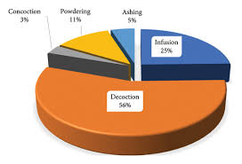 Image result for Crepidorhopalon rupestris