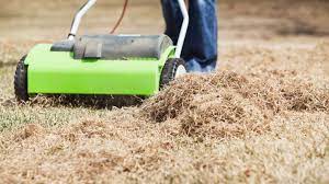 Fertilization levels are also determined by the fertility of the soil zoysia is grown on. Spring Dethatching Tips
