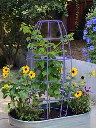 Toki Bubble Trellis Obelisk Trellis Trellis Small Space Gardening