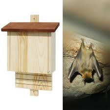 Epingle Sur Jardin