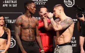 Follow me from a distance! Adesanya Dal Prognoz Na Revansh S Vettori Karate Ru Novosti