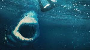 Recuerda que puedes apoyarme dando like y suscribiéndote para más.redes. Critica De Tiburon Blanco Great White Una Peli De Escualos De Poca Dentellada Hobbyconsolas Entretenimiento