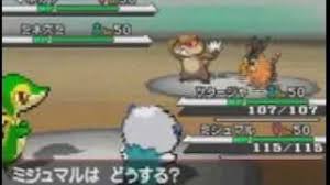To the nurse at a pokemon center she'll ask if it is your birthday. Pokemon Black Cheats Codes For Nintendo Ds Ds Cheatcodes Com