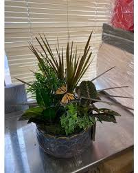 Whether you're planning a baby shower and get unlimited access to the best florals: Aurora Florist Flower Delivery By Diana S Flowers Gifts