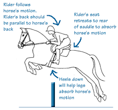 Road bike riding positions involves having the proper hand positions while riding as well as the the majority of riding will be done on the hoods, or where the shifters and brake levers are on a road. Perfecting The Jump Position The Rubber Curry Comb