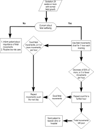 primary maternal care 2 assessment of fetal growth and