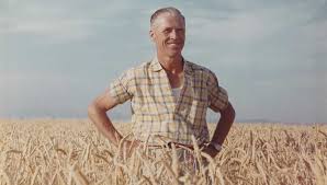 Did you scroll all this way to get facts about wheat plantation? The Green Revolution Norman Borlaug And The Race To Fight Global Hunger American Experience Official Site Pbs