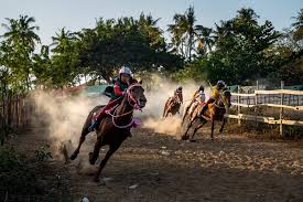But which of these movies is the best? For Indonesia S Child Jockeys Time To Retire At 10 After 5 Years Of Racing The New York Times