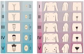 إذا تم استخدام جسم غريب أثناء الهجوم، فإن تصوير الأشعة السينية سوف يحددها. ØªØ£Ø®Ø± Ø§Ù„Ø¨Ù„ÙˆØº Ø¹Ù†Ø¯ Ø§Ù„Ø¥Ù†Ø§Ø« Ø§Ù„Ø£Ø³Ø¨Ø§Ø¨ ÙˆØ§Ù„Ø£Ø¹Ø±Ø§Ø¶ ÙˆØ§Ù„ØªØ´Ø®ÙŠØµ ÙˆØ§Ù„Ø¹Ù„Ø§Ø¬ Ø£Ù†Ø§ Ø£ØµØ¯Ù‚ Ø§Ù„Ø¹Ù„Ù…