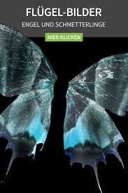 Fantastische Flugel Bilder Engel Und Schmetterlinge Schmetterling Engel Bilder