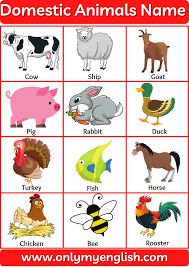 Published on 12/3/2020 at 2:15 pm finding a unique and fitting name for your sweet dog is quite t. Domestic Animals Or Farm Animals Name List In English Onlymyenglish