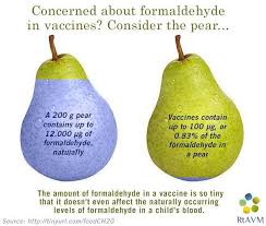 The time dynamic behavior of naturally. Should You Worry About Formaldehyde In Vaccines Thoughtscapism