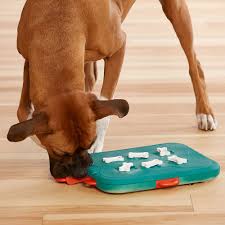 Check spelling or type a new query. Dog Toy For Advanced Dog Casino Level 3 Dog Toys Puzzle Toys Casino