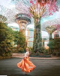 Supertree Grove Gardens By The Bay Singapore Singapore Photos Photography Singapore Travel
