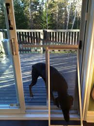 Screen Door For Large Dog Diy Diy Doggie Door Dog Screen Door Dog Door
